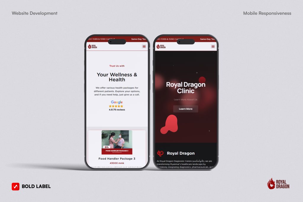 Royal Dragon Website Development
