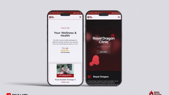 Royal Dragon Website Development