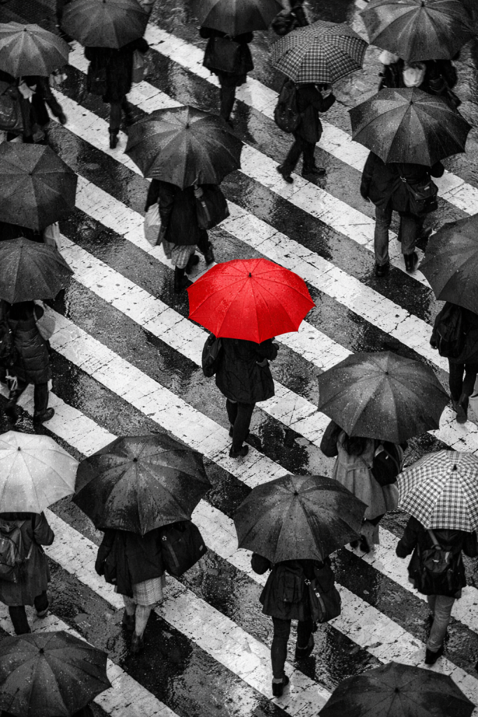 Bold Label နဲ့ ထင်ရှားပေါ်လွင်ပါစေ