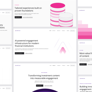 Business Website Package